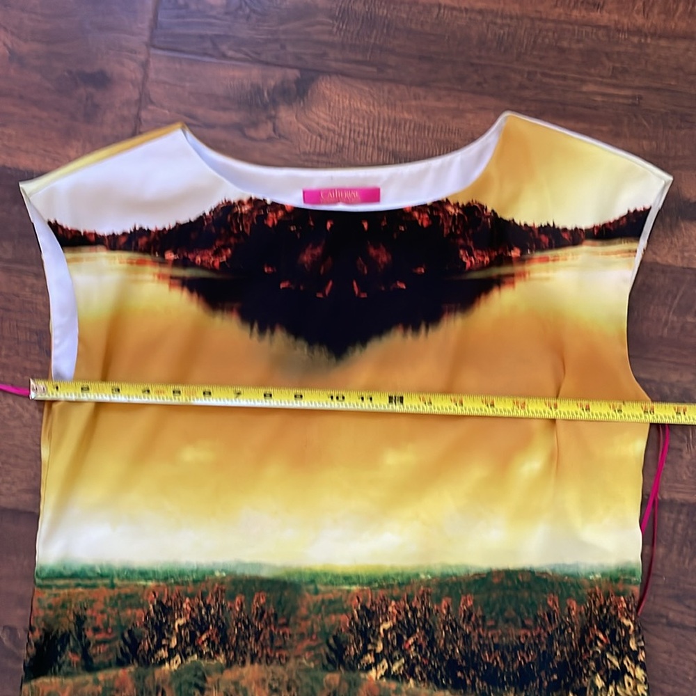 Catherine Malandrino landscape top - Picture 10 of 11